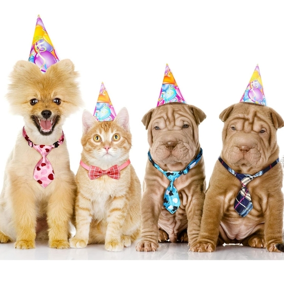 Leopard print tie and bowtie set - Picture 5 of 6